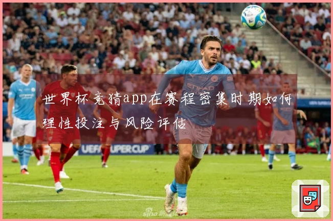世界杯竞猜app在赛程密集时期如何理性投注与风险评估