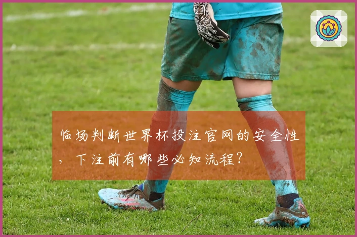 临场判断世界杯投注官网的安全性，下注前有哪些必知流程？
