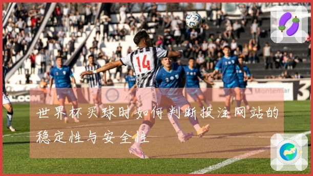 世界杯买球时如何判断投注网站的稳定性与安全性