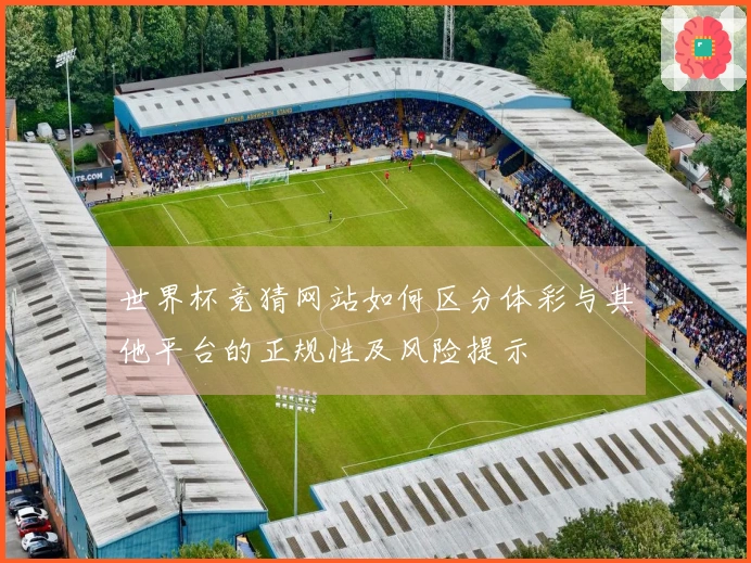 世界杯竞猜网站如何区分体彩与其他平台的正规性及风险提示