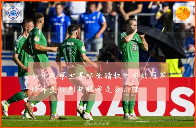 如何观察世界杯竞猜软件中的冠军赔率变化判断赔率是否合理