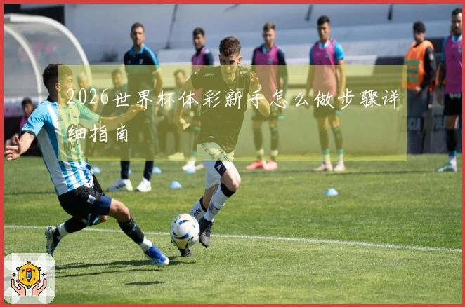 2026世界杯体彩新手怎么做步骤详细指南