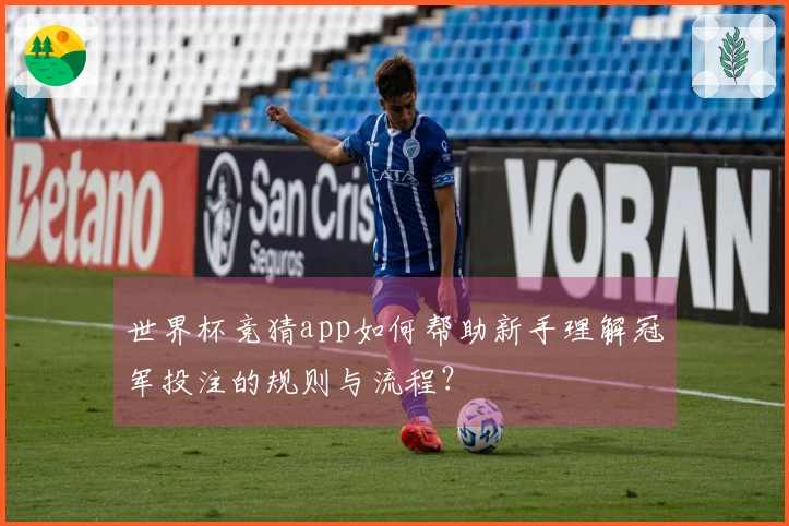 世界杯竞猜app如何帮助新手理解冠军投注的规则与流程？