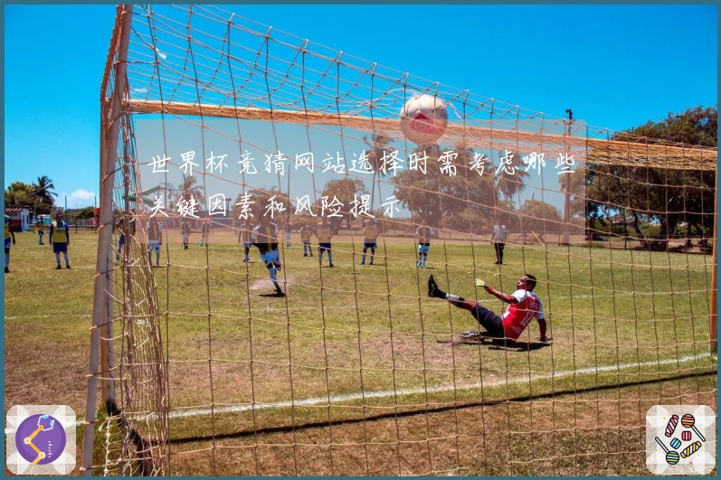 世界杯竞猜网站选择时需考虑哪些关键因素和风险提示