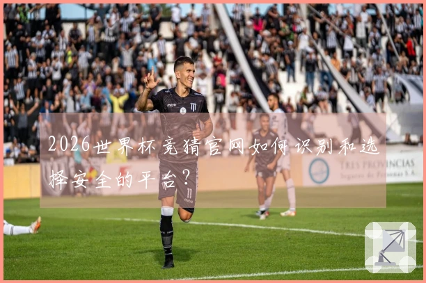 2026世界杯竞猜官网如何识别和选择安全的平台？