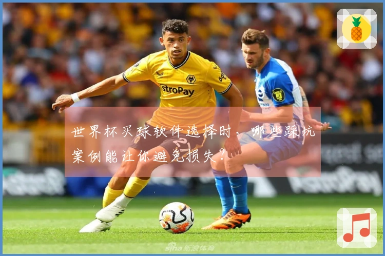 世界杯买球软件选择时，哪些踩坑案例能让你避免损失？