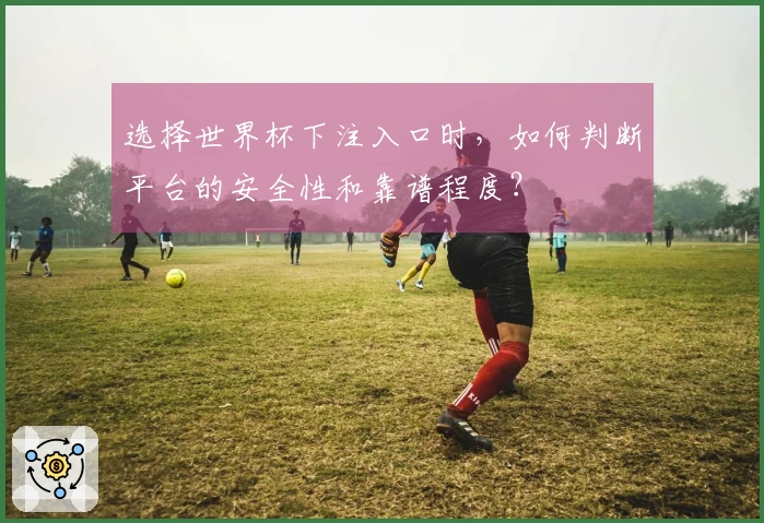 选择世界杯下注入口时，如何判断平台的安全性和靠谱程度？