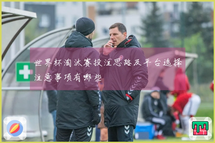 世界杯淘汰赛投注思路及平台选择注意事项有哪些