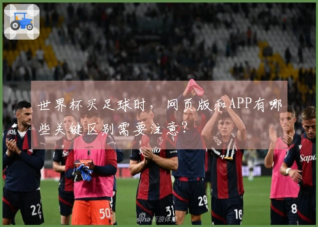世界杯买足球时，网页版和APP有哪些关键区别需要注意？