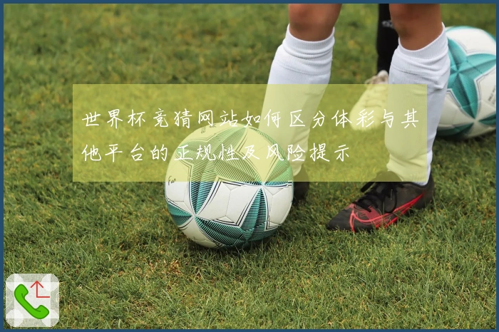 世界杯竞猜网站如何区分体彩与其他平台的正规性及风险提示
