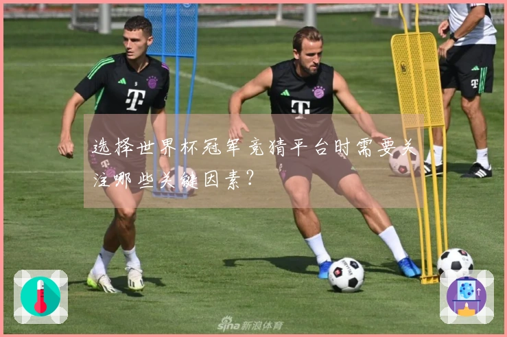 选择世界杯冠军竞猜平台时需要关注哪些关键因素？