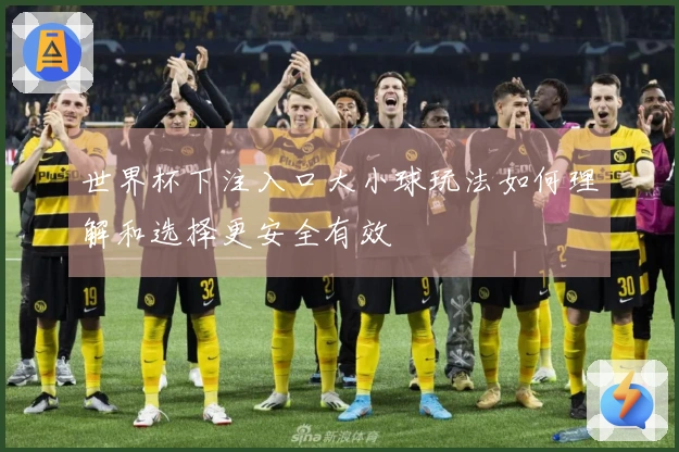 世界杯下注入口大小球玩法如何理解和选择更安全有效