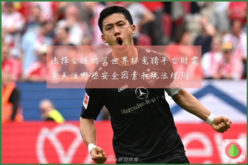 选择合适的买世界杯竞猜平台时需要关注哪些安全因素和玩法规则