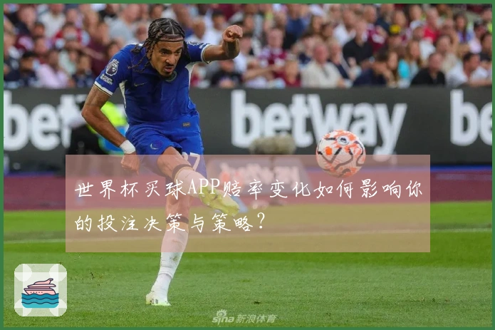 世界杯买球APP赔率变化如何影响你的投注决策与策略？