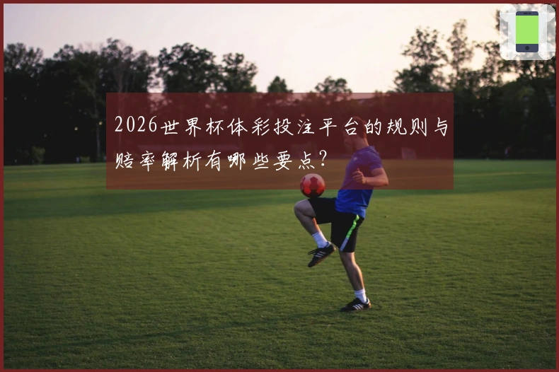 2026世界杯体彩投注平台的规则与赔率解析有哪些要点？