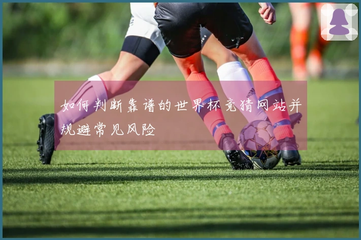 如何判断靠谱的世界杯竞猜网站并规避常见风险