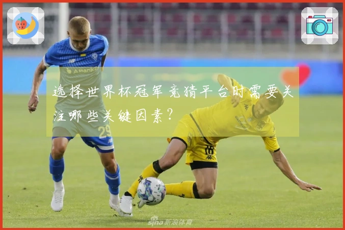 选择世界杯冠军竞猜平台时需要关注哪些关键因素？