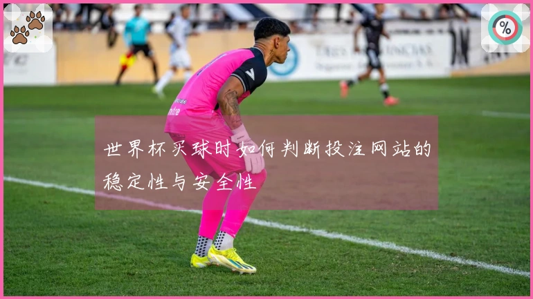 世界杯买球时如何判断投注网站的稳定性与安全性