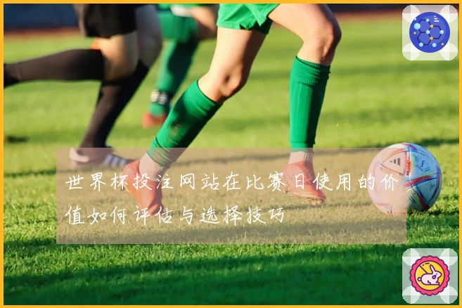 世界杯投注网站在比赛日使用的价值如何评估与选择技巧