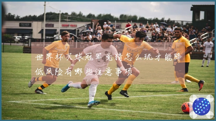 世界杯买球冠军竞猜怎么玩才能降低风险有哪些注意事项